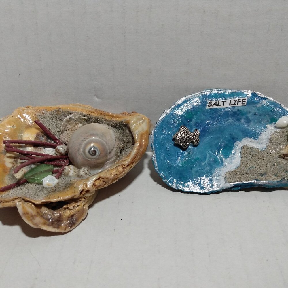Fossilized Oyster Shells Sharks Eye Shell Seaweed Sea Glass Home Decor Lot Of 2